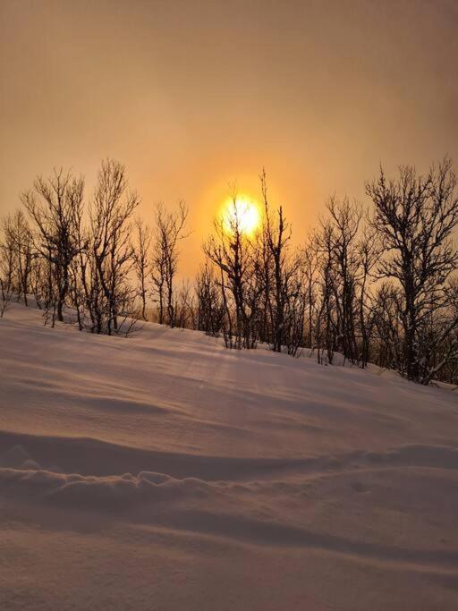 Cosy Winter 200 M From Lift Apartment Narvik