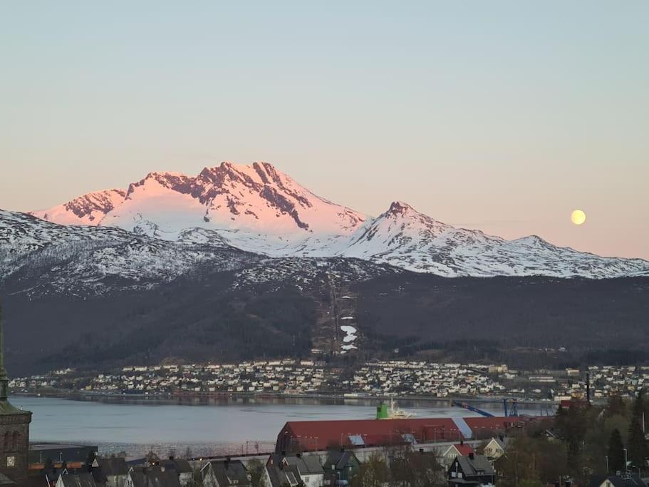 Apartment Cosy Winter 200 M From Lift Narvik