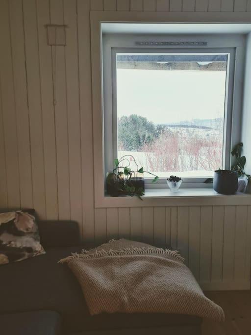 Cosy Winter 200 M From Lift Apartment