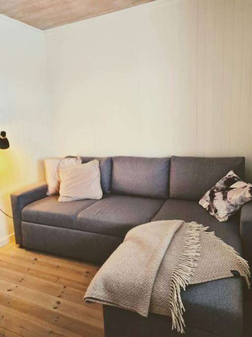 Apartment Cosy Winter 200 M From Lift Narvik